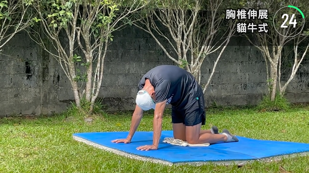 貓牛式