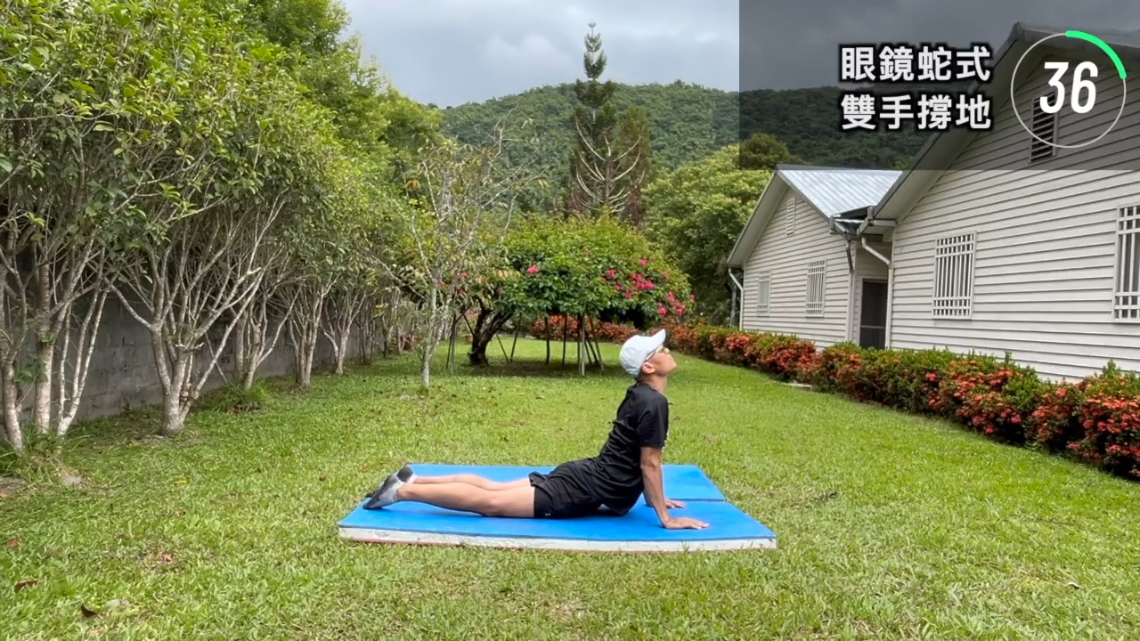 眼鏡蛇式