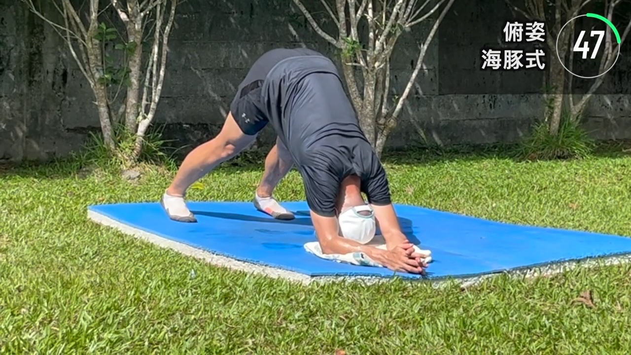 海豚式