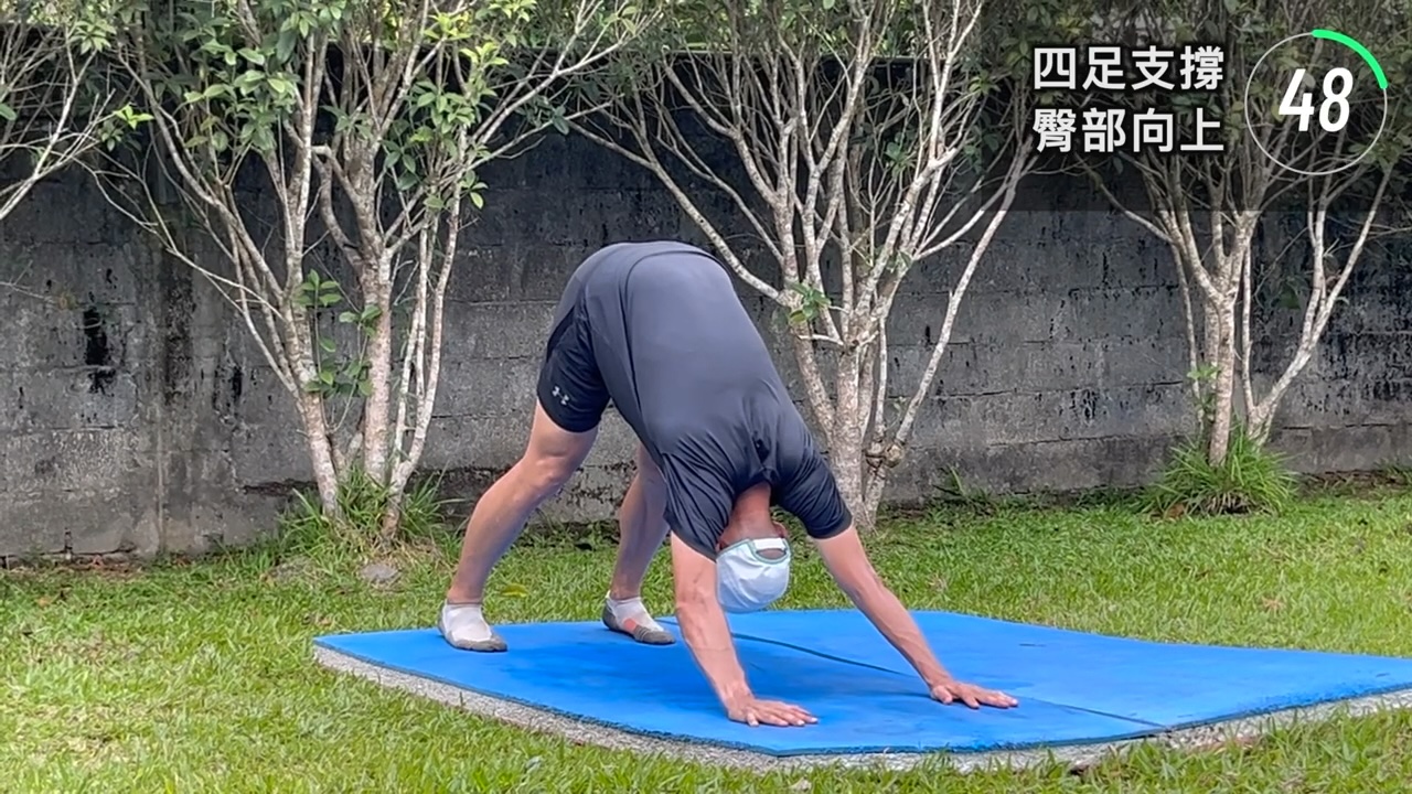 下犬式