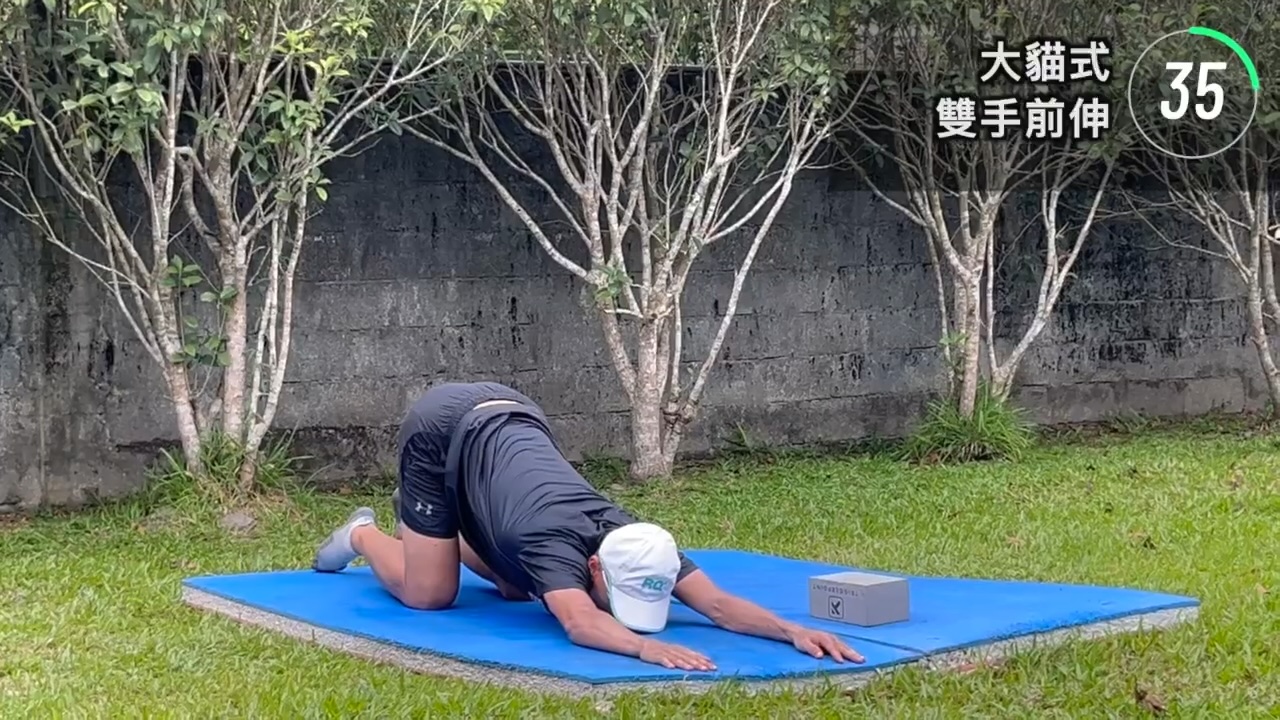 大貓式